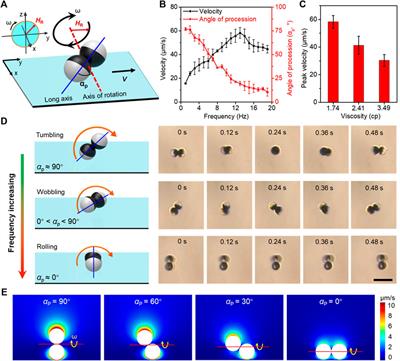 Magnetic Microdimer as Mobile Meter for Measuring Plasma Glucose and Lipids